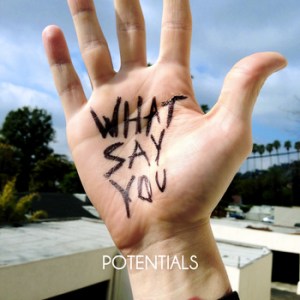 what-say-you-potentials-review