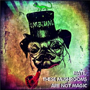 imbium-mate-these-mushrooms-are-not-magic-review
