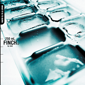 finch-what-it-is-to-burn