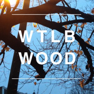 winning-the-losers-bracket-wood-review