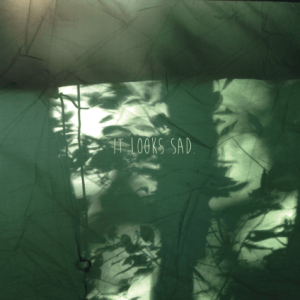 it-looks-sad-self-titled-review