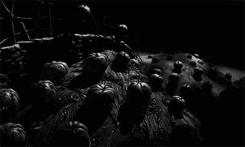 wrapped-in-the-covers-this-is-halloween