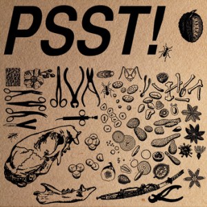psst-4-way-split-review