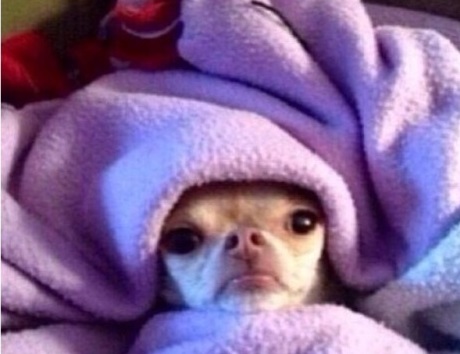wrapped-in-the-covers-baby-its-cold-outside