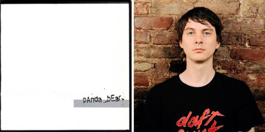 panda bear