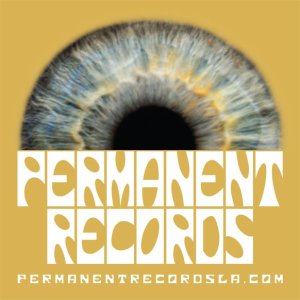 permanent-records-liz-tooley-interview